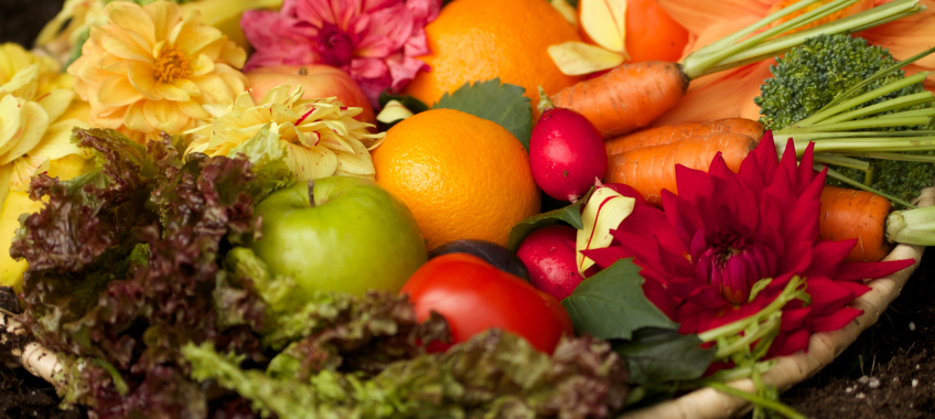 Harnessing Nature's Remedies: A Guide to Illness Prevention, Health Maintenance, and Future Wellness