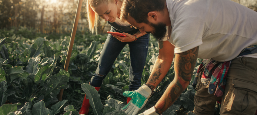 Sustainable farm practices