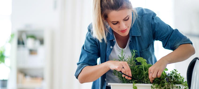 How to Grow Your Own Herbs and Vegetables at Home, Even in a Small Space