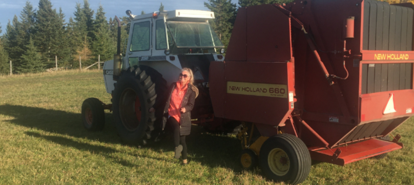 Exploring the Rich Agricultural Landscape of Alberta Farms