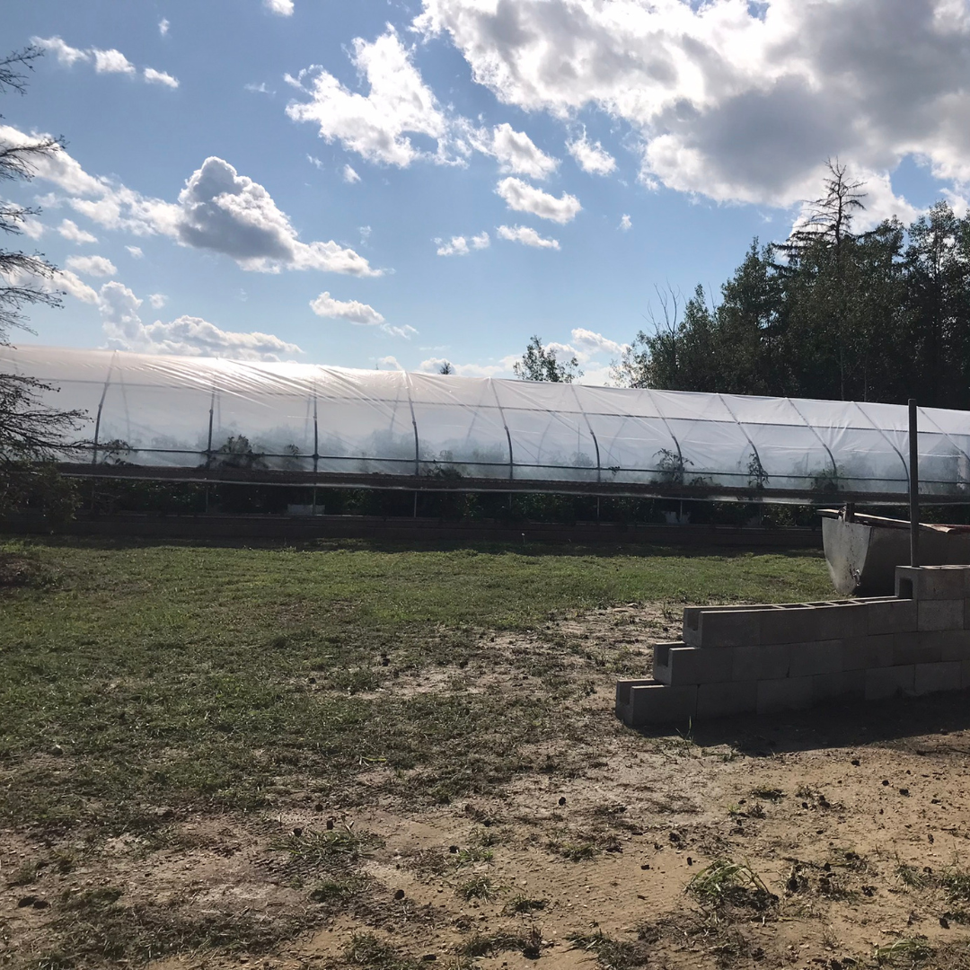 Exploring the Rich Agricultural Landscape of Alberta Farms