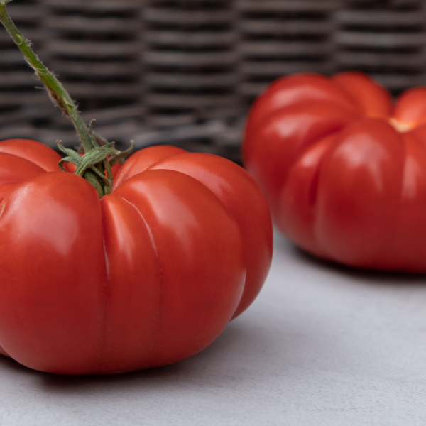 Beef Steak tomatoes