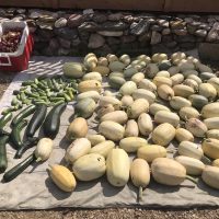 Produce