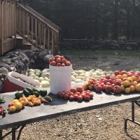 IMG_3437