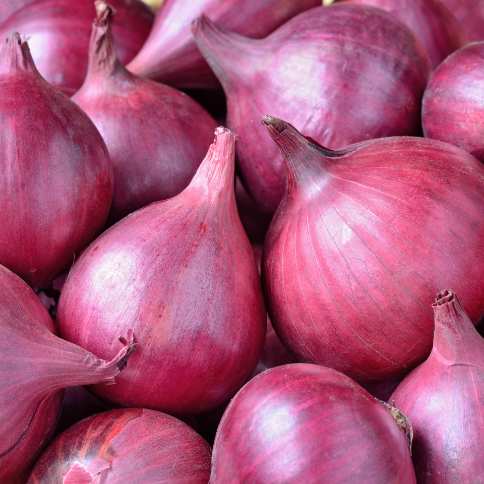 Red Onions Red Onions