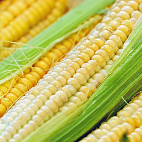 Corn