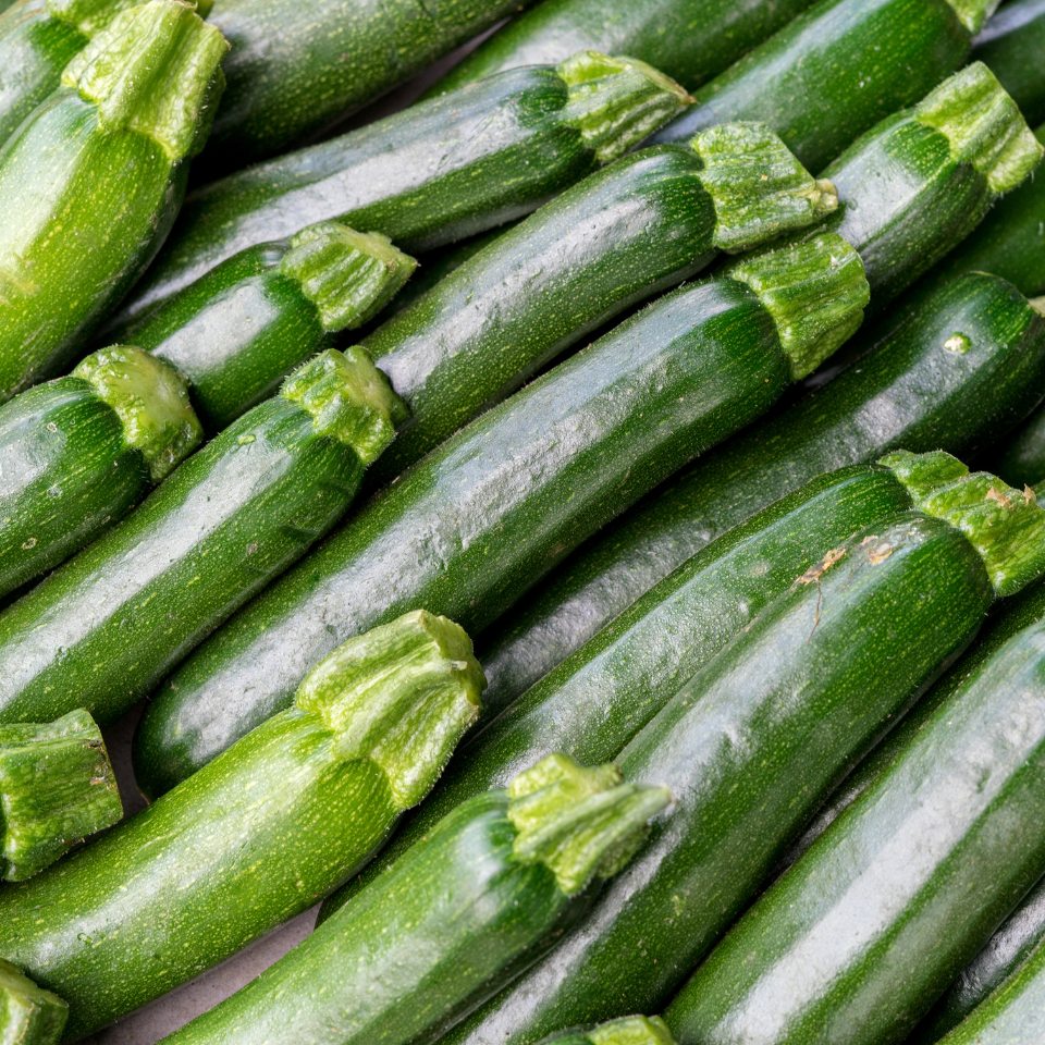 Zucchini Zucchini