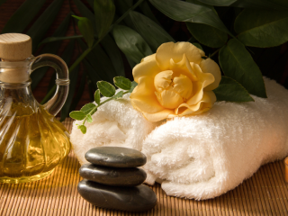 spa and wellness spa and wellness