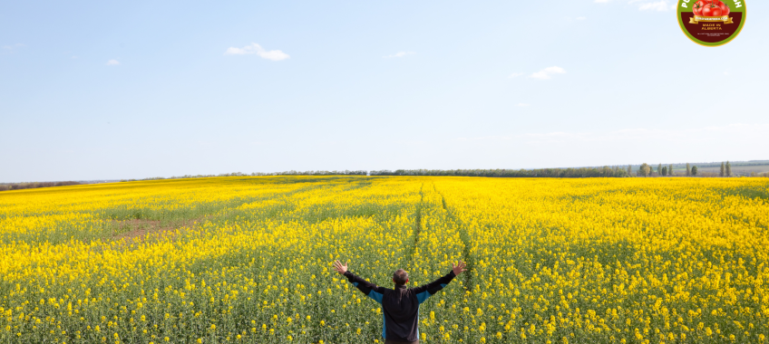 The Science Behind Happiness: Understanding What Really Makes Us Happy