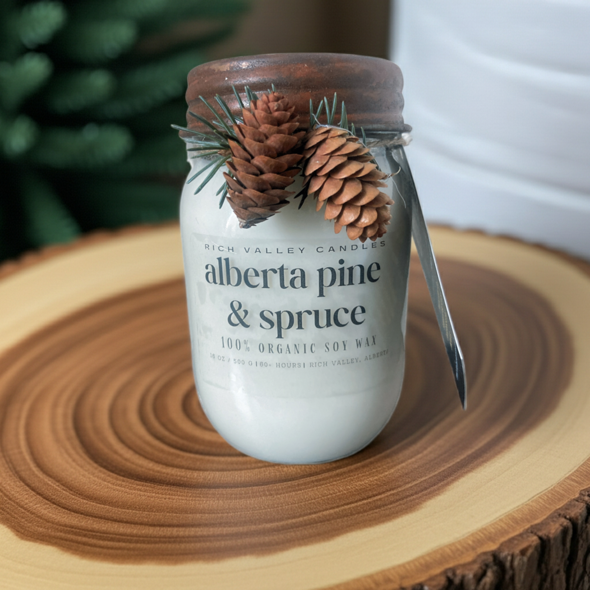 Alberta Pine and spruce