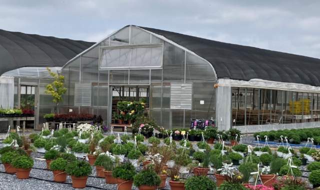 home and garden