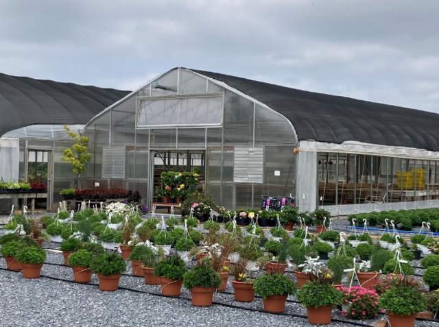 home and garden