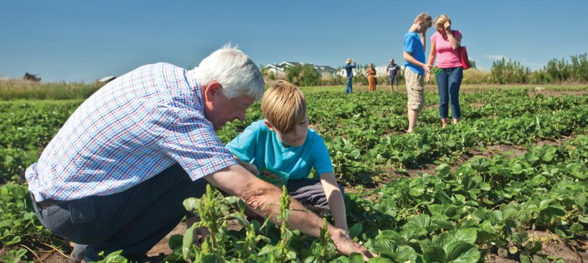 open farm days