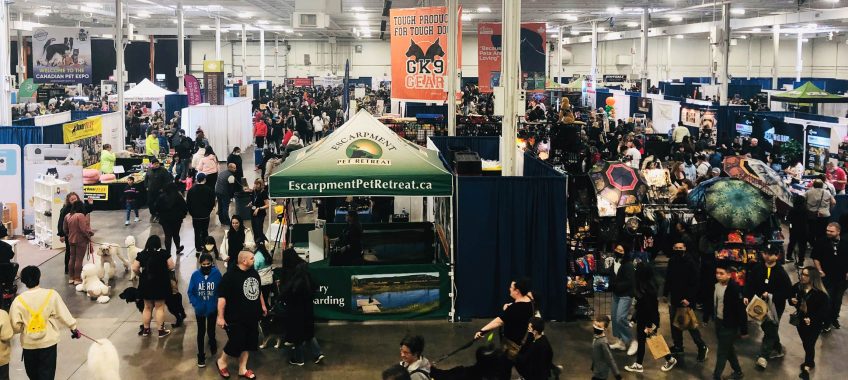 pet expo