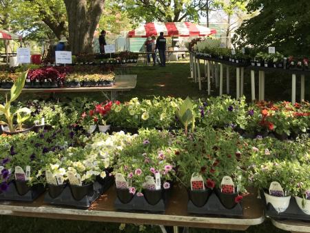 plant sales/growers