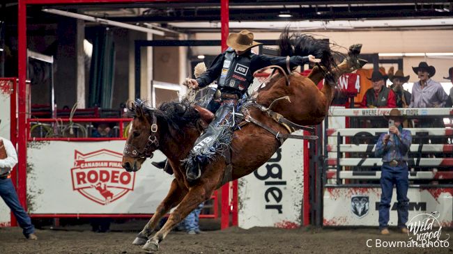 rodeo