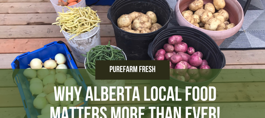 Why Alberta Local Food Matters More Than Ever!