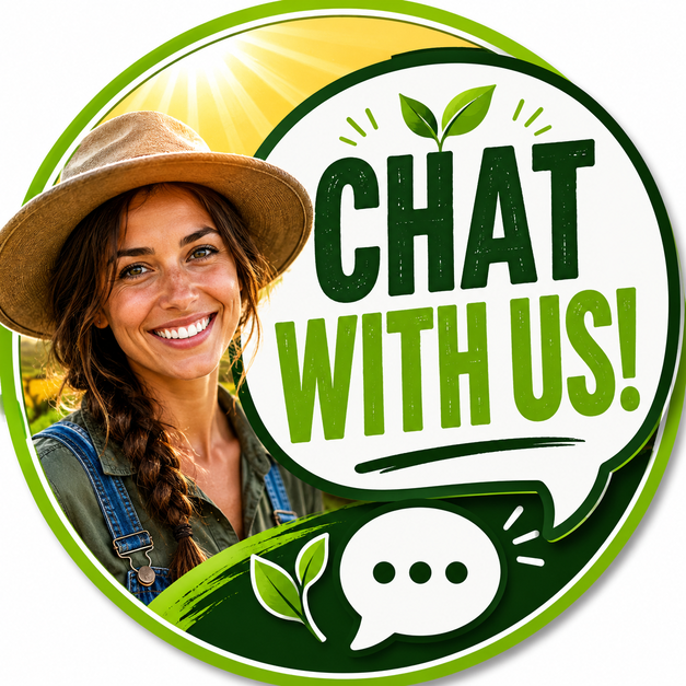 Chat