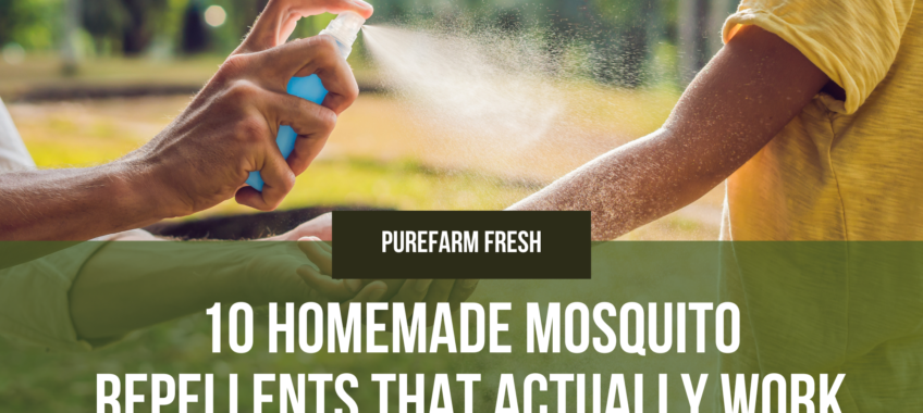 10 Homemade Mosquito Repellents That Actually Work