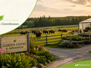 Bison Grow & Greenhouse Bison Grow & Greenhouse