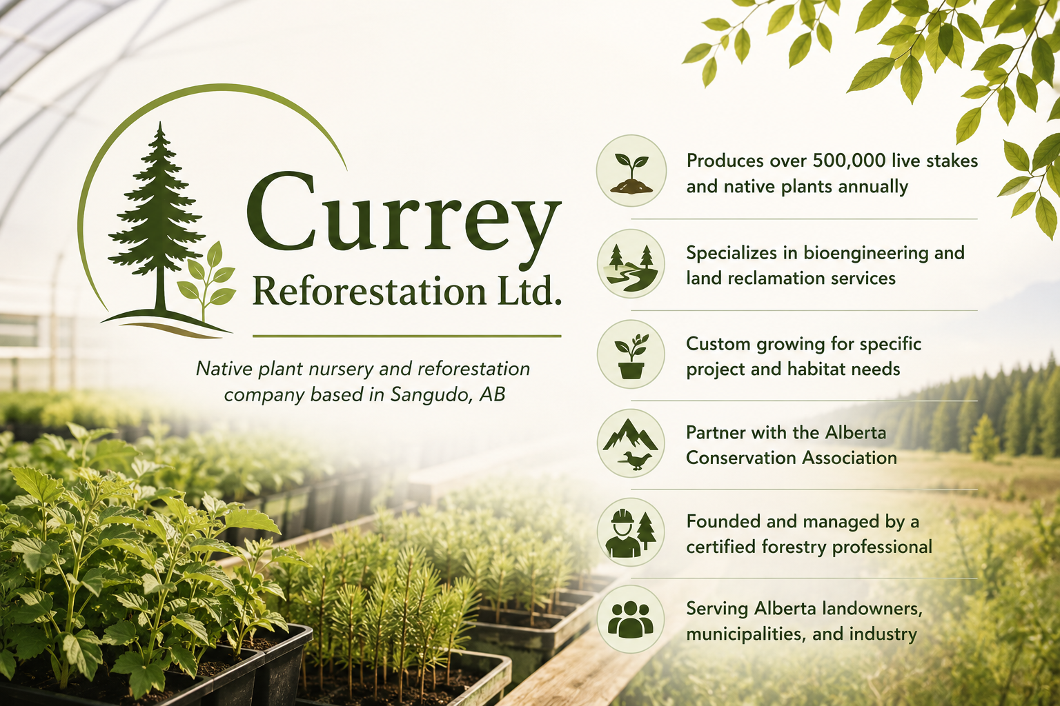 Currey Reforestation Ltd.