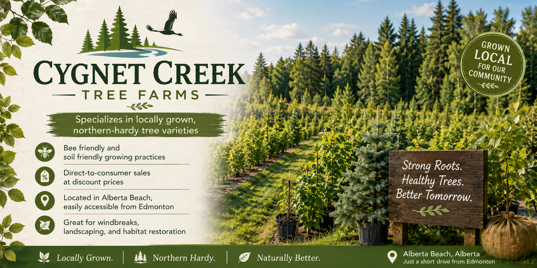 Cygnet Creek Tree Farms