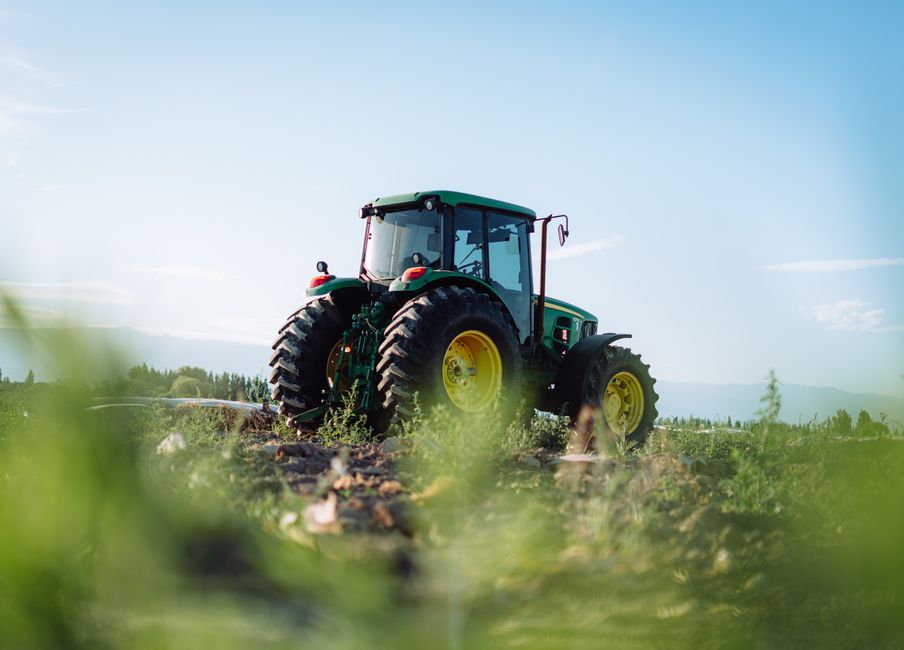 Currey Reforestation Ltd.