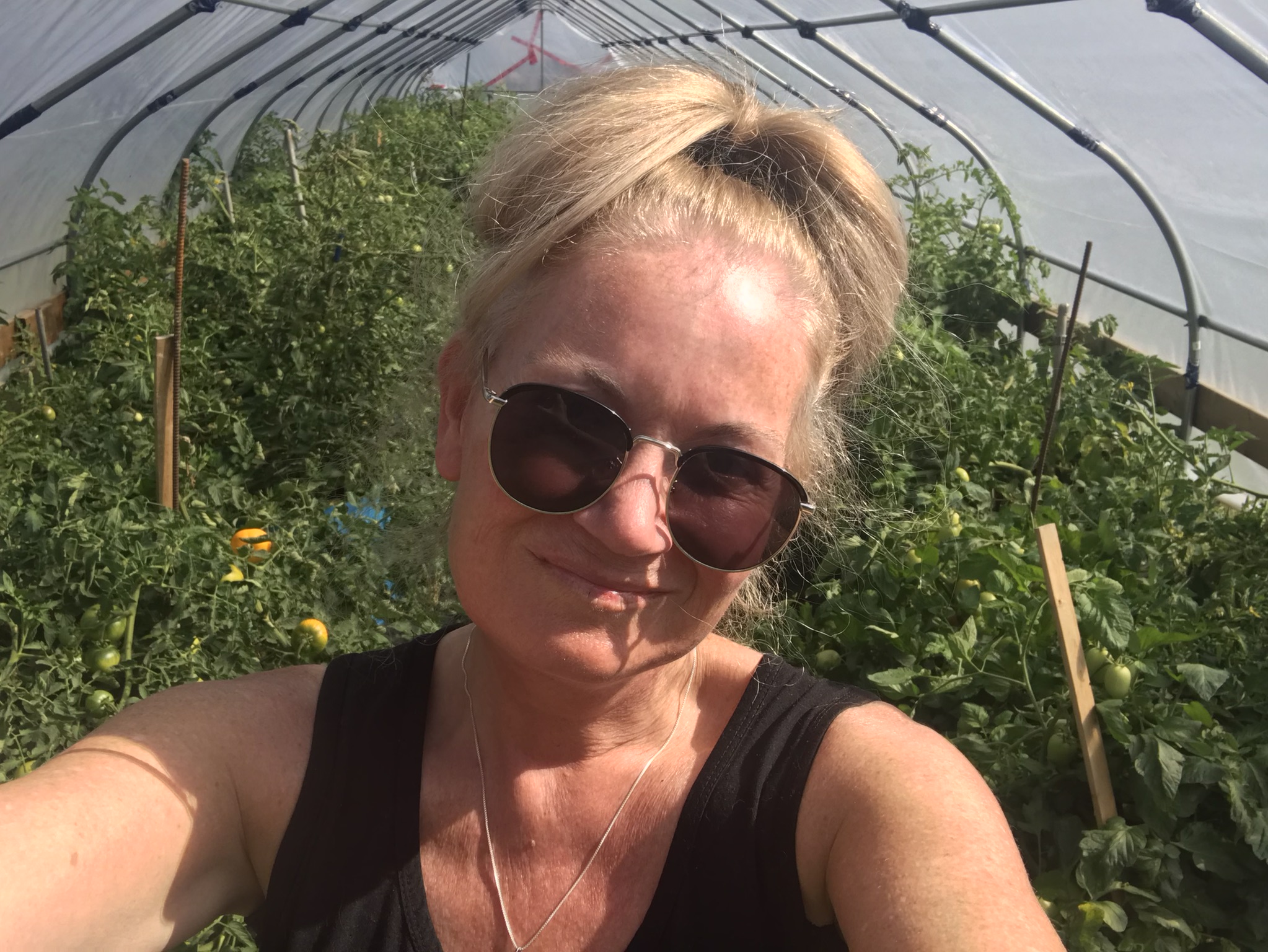 Rich Valley Vegetables – Alberta’s Garden Gem 🥦🥕