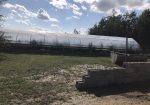 Rich Valley Vegetables – Alberta’s Garden Gem 🥦🥕