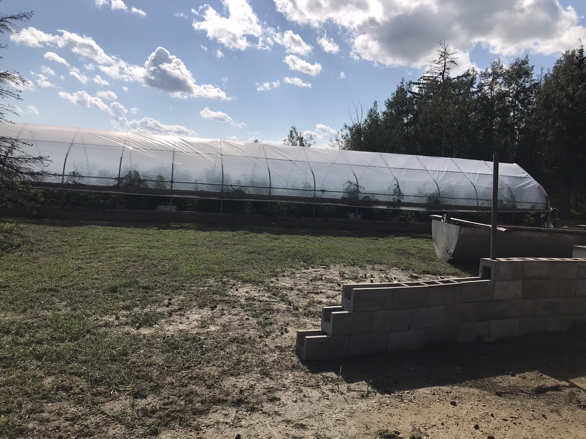 Rich Valley Vegetables – Alberta’s Garden Gem 🥦🥕