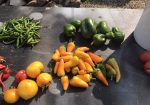 Rich Valley Vegetables – Alberta’s Garden Gem 🥦🥕