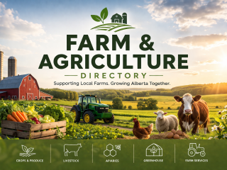 farm-and-agriculture farm-and-agriculture